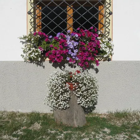 Appartamenti Bernard Fortunato *